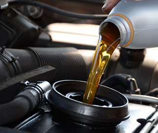 Lorem ipsum dolor sit amet, consectetur adipiscing elit. Proin eget elit sed eros scelerisque ultricies ac quis massa. Suspendisse mollis egestas condimentum.